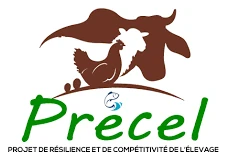 Precel